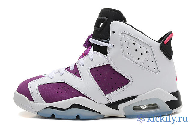 Nike Air Jordan 6 Retro Grape 543390-127 - 1