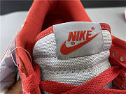 Nike Dunk Low SB red and gray CU1726-600 - 2