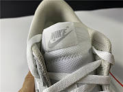 Nike SB Dunk low Silver ash killer 1726-201  - 5