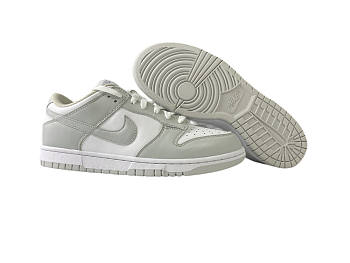 Nike SB Dunk low Silver ash killer 1726-201 