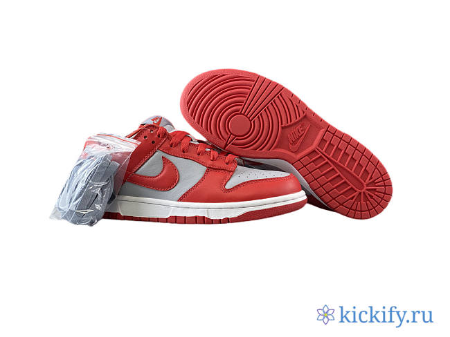 Nike Dunk Low SB red and gray CU1726-600 - 1