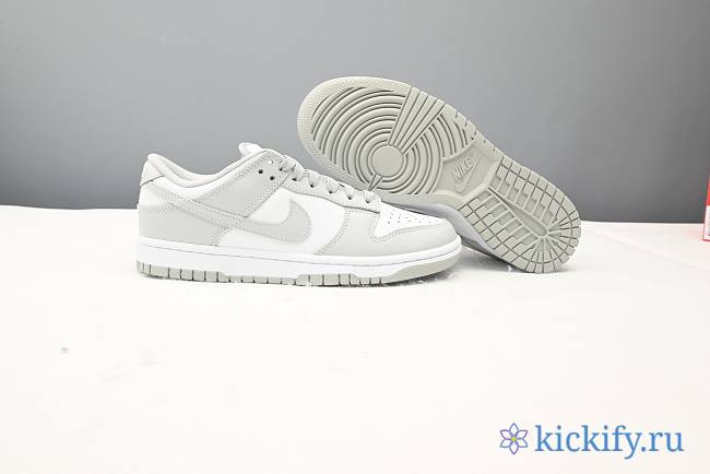 Nike Dunk Low Grey Fog DD1391-103 - 1