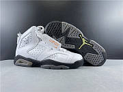 Nike Air Jordan 6 Retro Alligator 384665-110 - 1