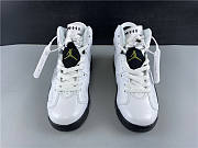 Nike Air Jordan 6 Retro Alligator 384665-110 - 6