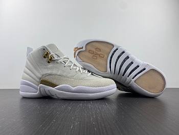 Air Jordan 12 x OVO 873864-102
