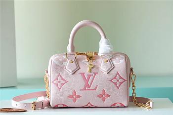 Louis Vittan Speedy