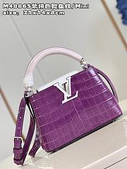 Louis VittanCapucines bag - 1