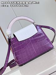 Louis VittanCapucines bag - 6