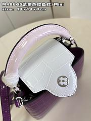 Louis VittanCapucines bag - 5