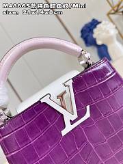 Louis VittanCapucines bag - 2