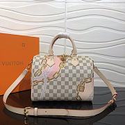 Louis Vittan Speedy25 BAG - 1