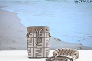 Fendi Mon Tresor Gray FF canvas mini-bag-12*10*18cm - 1