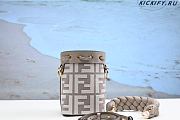 Fendi Mon Tresor Gray FF canvas mini-bag-12*10*18cm - 5
