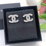 Chane1 Earrings - 2